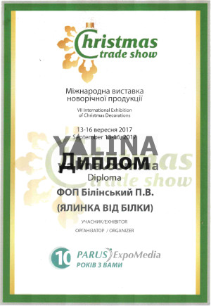 Диплом 2017