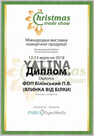 Диплом 2018