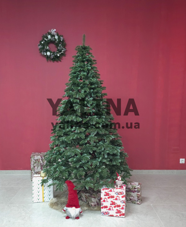 Ялинка лита Канадська зелено блакитна 1,50 м