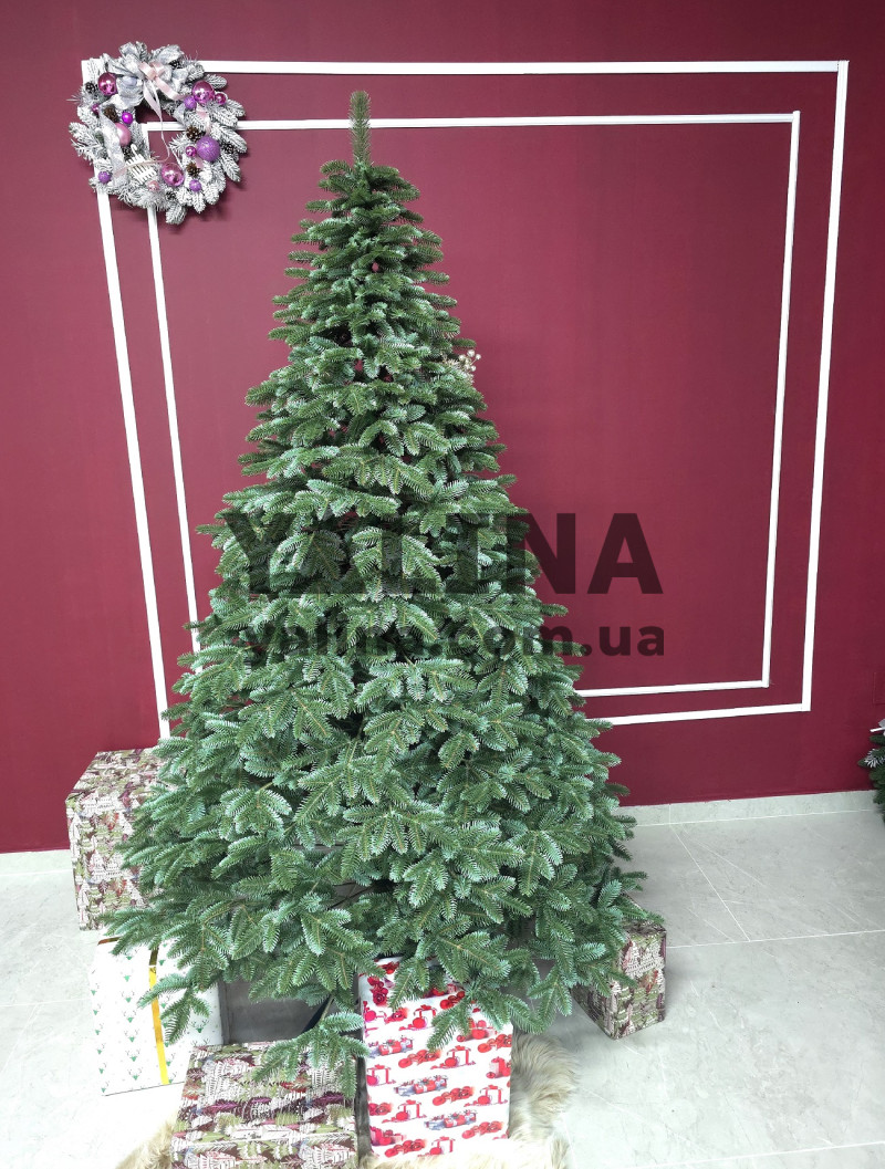 Ялинка лита Канадська зелено блакитна 1,50 м