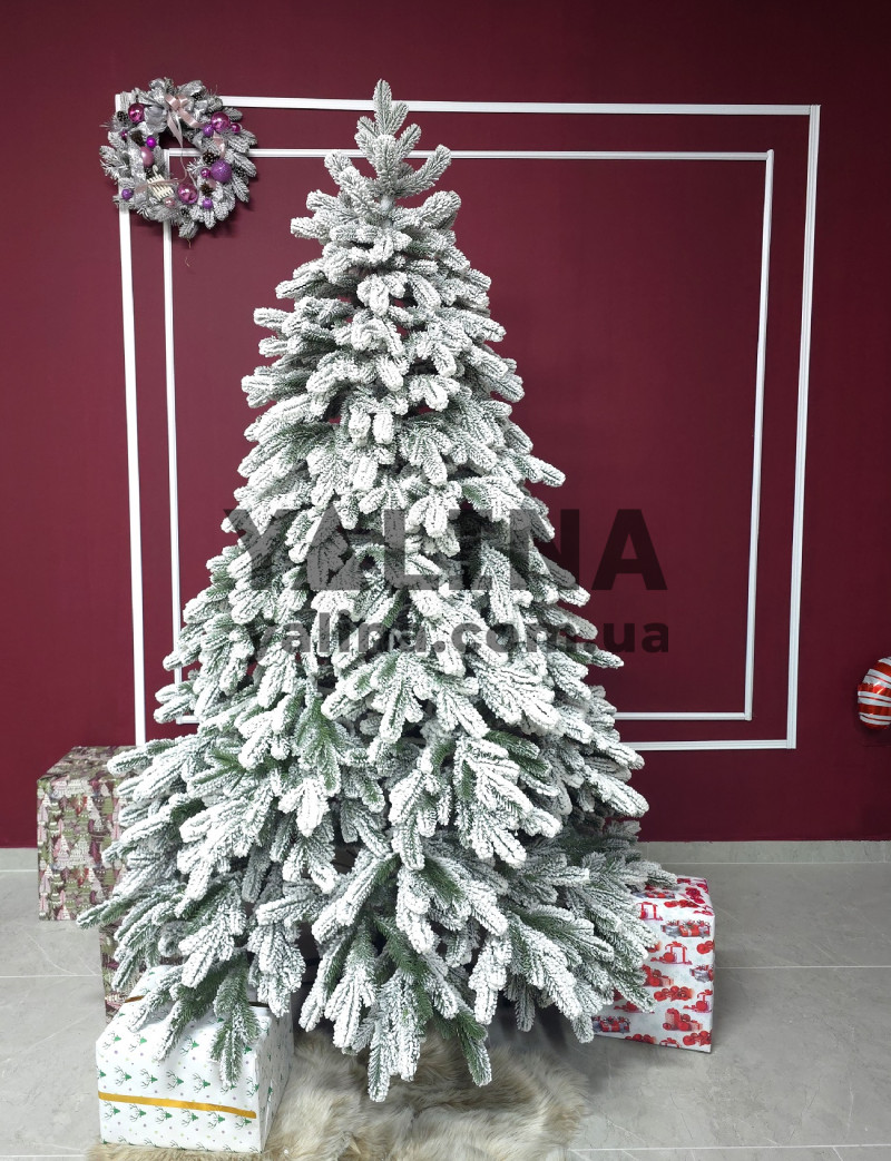 Ялинка лита Елітна Ковалівська засніжена 2,50 м.