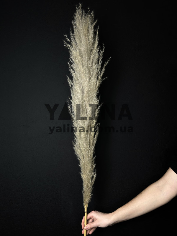 Кортадерія Натуральна, Код товару:YXG007